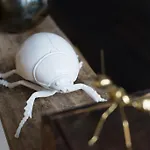 Altstadt Loft Marktplatz Apartman *