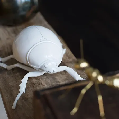 Artist Loft - 120 M2 Appartamento *